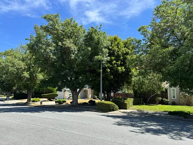 39574 Benavente Ave — Photo 1