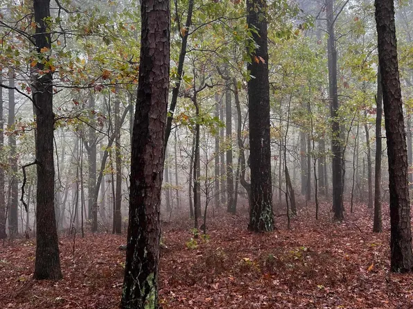 0 Arkavalley Rd, Greenbrier, AR 72058