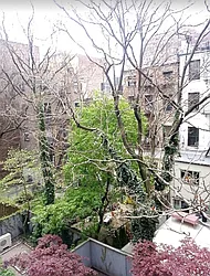 Rented by New York Residence