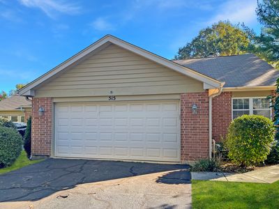 515 Shagbark Dr, Elgin, IL, 60123