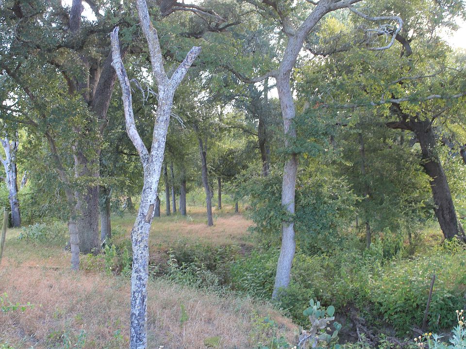 2nd image of 1000 County Road 430