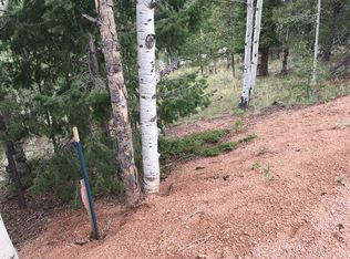 95 Kernite Ln, Divide, CO 80814