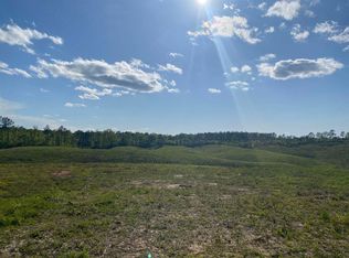 1 Otis Paine Rd, Bethel Springs, TN 38315