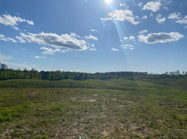 1 Otis Paine Rd, Bethel Springs, TN 38315