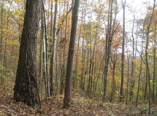 Chestnut Ridge Rd, Kingston, TN 37763