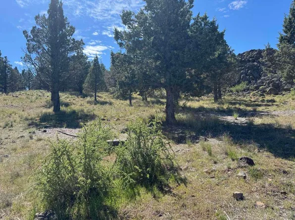 2 Golden Hill Dr Lot 268, Weed, CA 96094