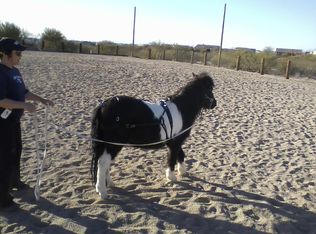 14615 E Colossal Cave Rd, Vail, AZ 85641