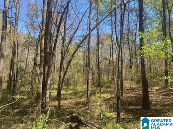 0 River Dr #9 & 10, Wilsonville, AL 35186