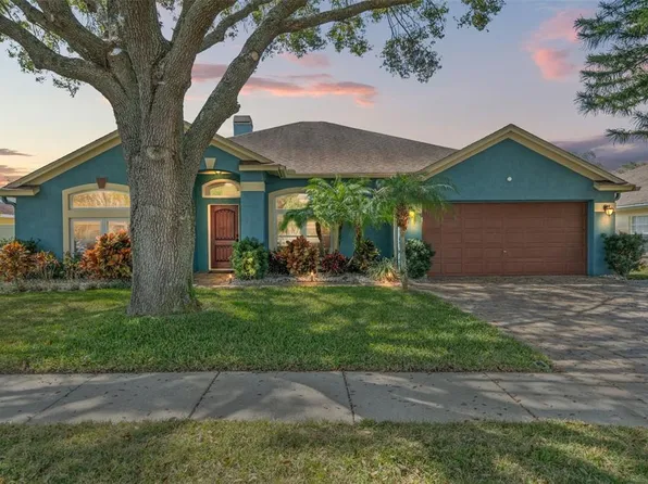 14906 Greeley Dr, Tampa, FL 33625