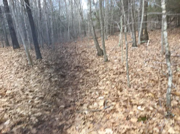 0 Trowbridge Road, East Haddam, CT 06423