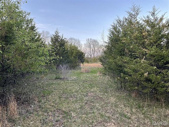 5th image of 263 Jordan Ridge Dr