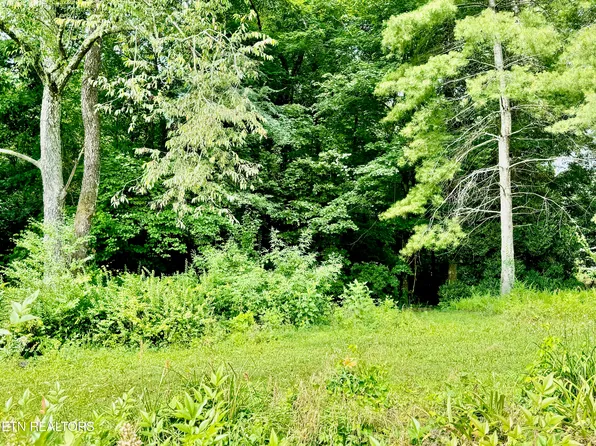 Robinson Ln, Decatur, TN 37322