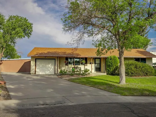 317 Pine View Drive, Montrose, CO 81401