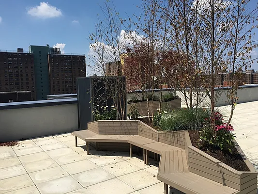 Rented by MNS | media 50