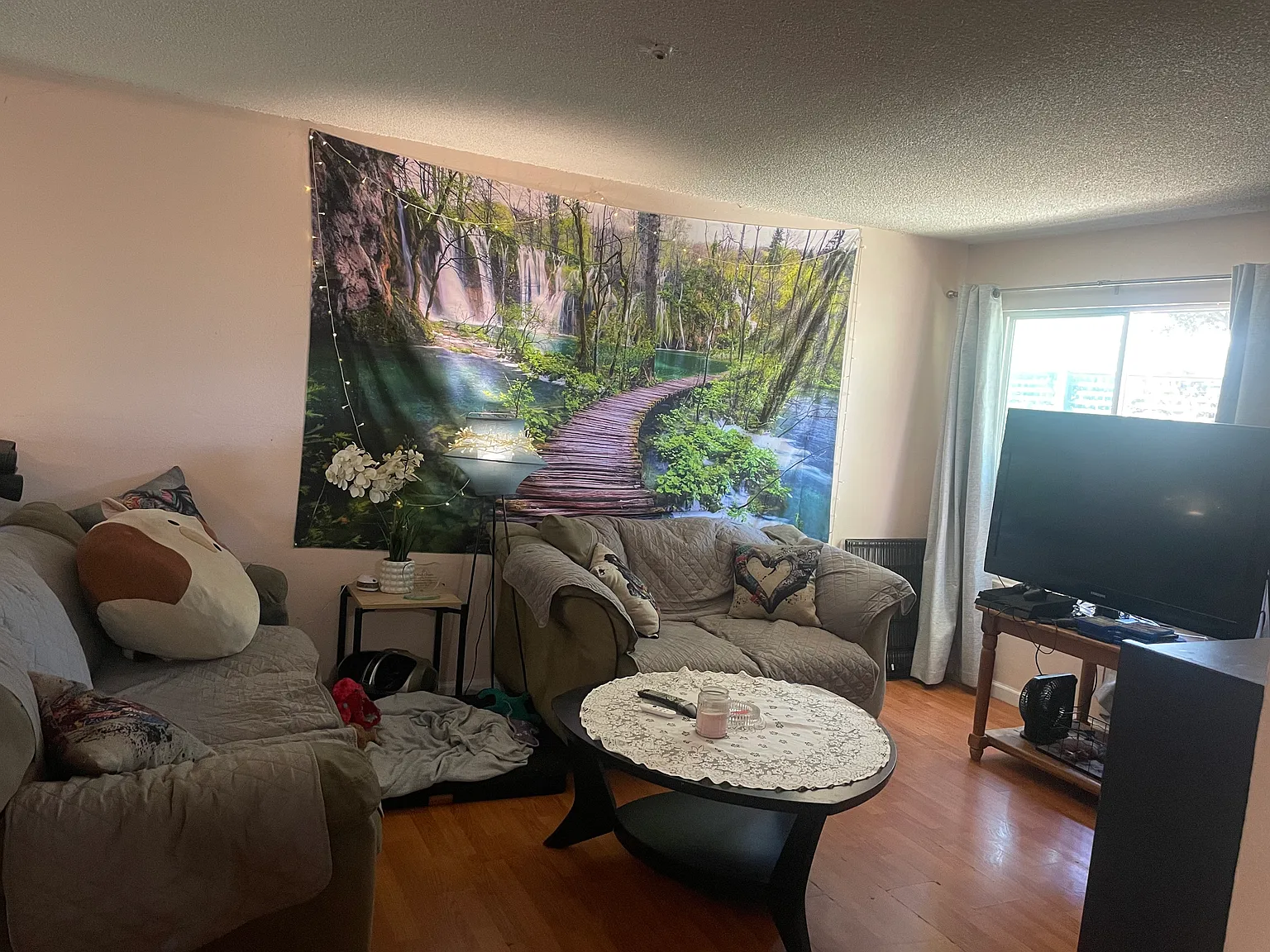 3 bed, $740 — Photo 4
