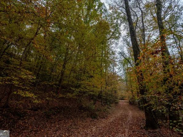0 Bullock Bridge Rd SW Tract 4, Monroe, GA 30656