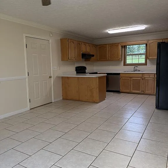 225 Schlaefer Way — Photo 5