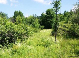 McDonald Rd, Richmondville, NY 12149