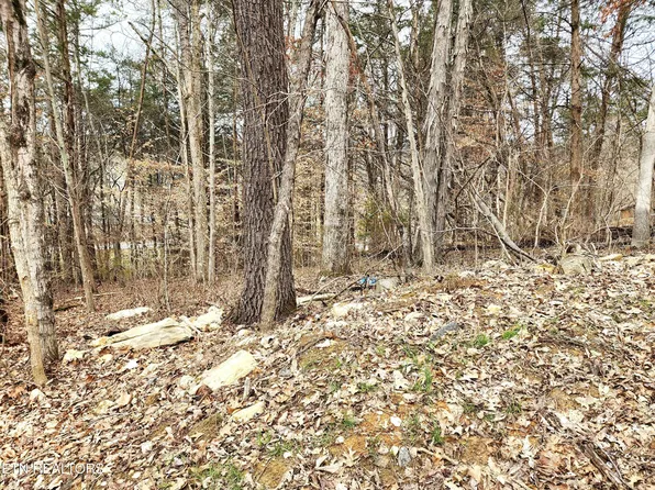 6 Lynn Dr Lot 6, Maynardville, TN 37807