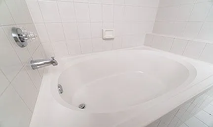 Roman Tubs in all Master Bathrooms
