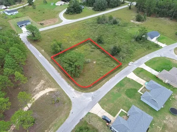 TBD MALAUKA RUN LOT 9, OCKLAWAHA, FL 32179
