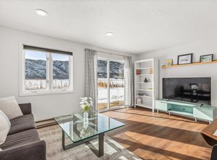 332 Horseshoe Dr #ADU, Basalt, CO 81621