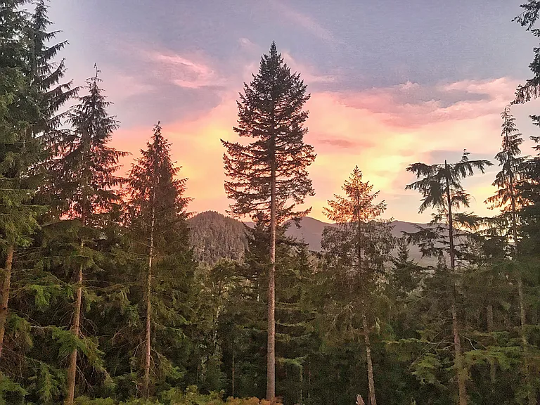 SE 166th Street North Bend Wa — Photo 8
