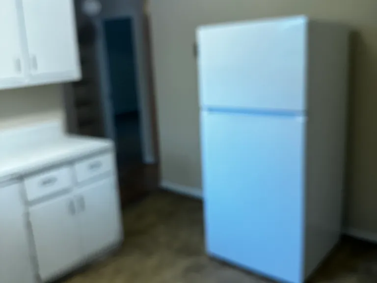 2115 Phaup St #8 — Photo 3