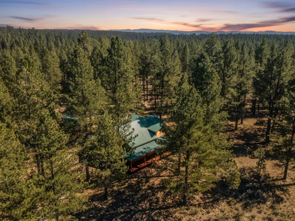 20779 Bear Gulch Rd, Canyon City, OR 97820