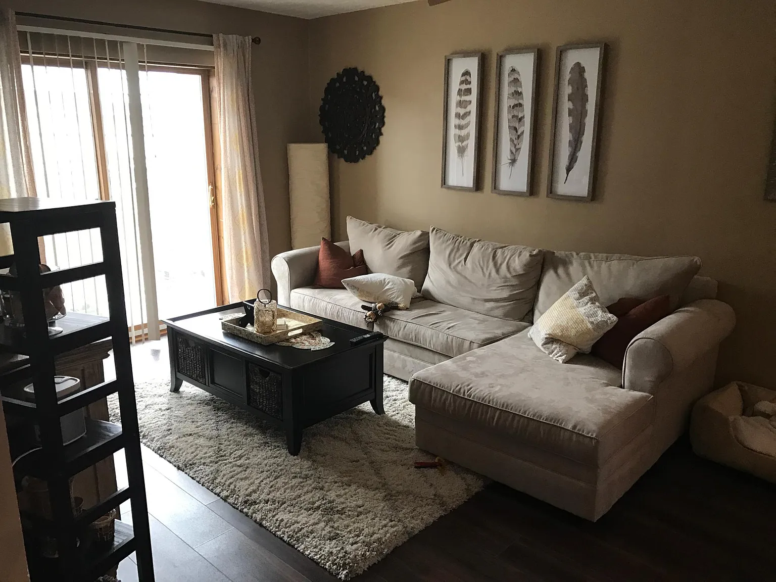 1 bed, 800 sqft, $1,250 — Photo 1