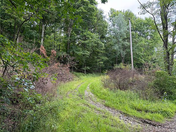 2nd image of Wright Rd