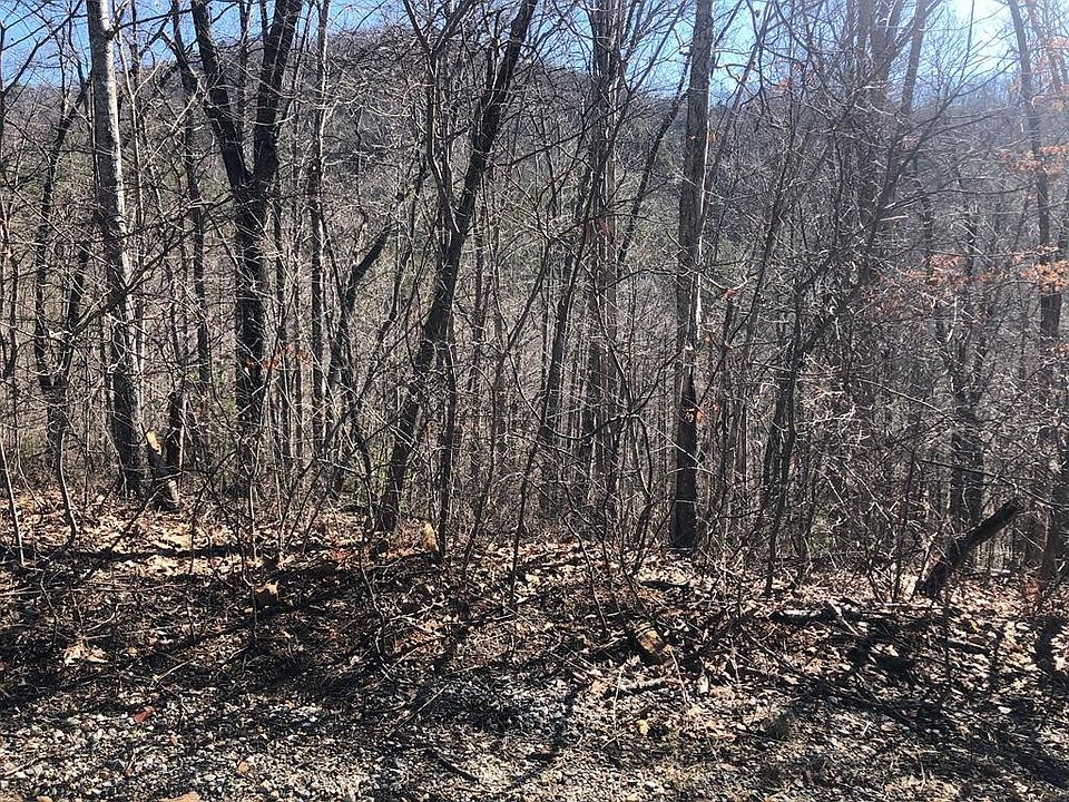 1st image of 15 Hickory Tree St Lot 15