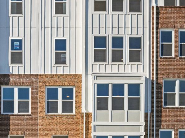 19874 Yellow Daisy Ter