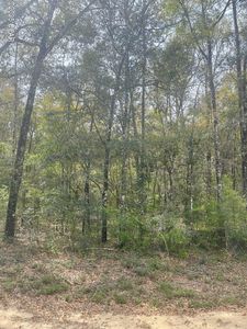 Little John Ln, Bonifay, FL, 32425