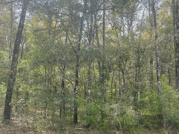Little John Ln, Bonifay, FL 32425