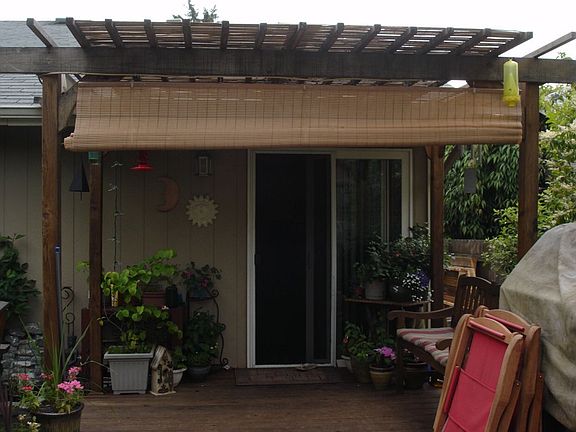 backyard & pergola