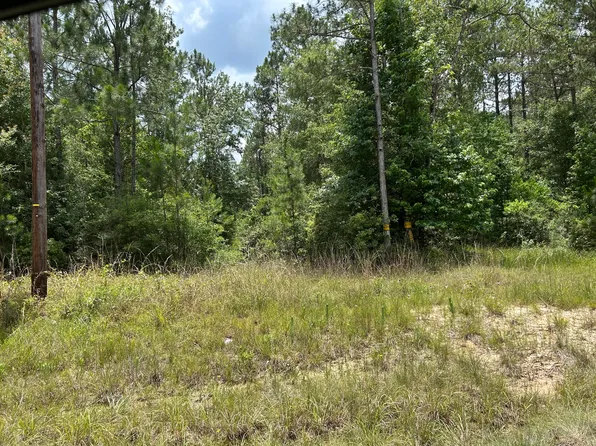 Highway 389, Merryville, LA 70653