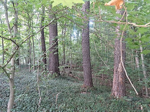 3rd image of 3952 & 4013 Devils Fork Rd
