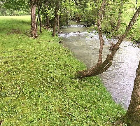 Creek in from of home