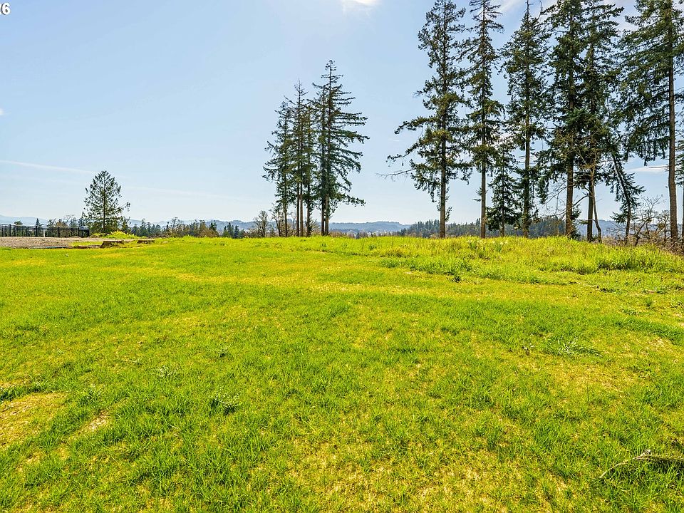 1st image of 1238 Stone Forest Ct