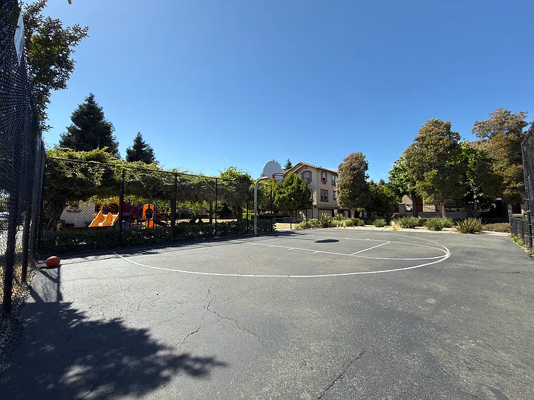 Basketball Court