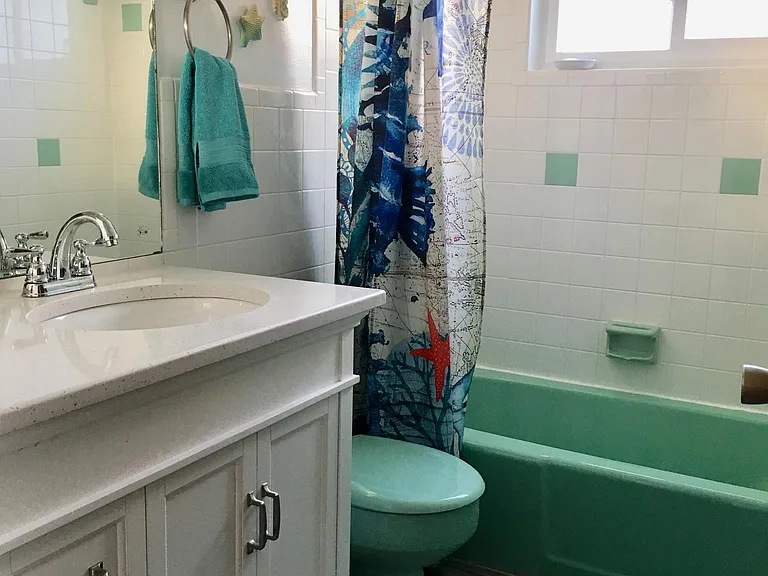 Guest bathroom, really retro modern!