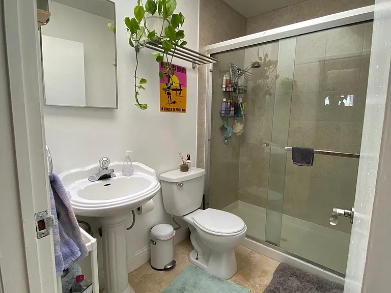 Bathroom with Skylight