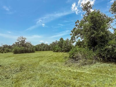 19822 Megan St, Bedias, TX, 77831