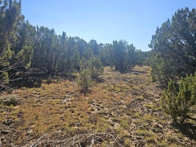 9 N 3133rd, Vernon, AZ, 85940