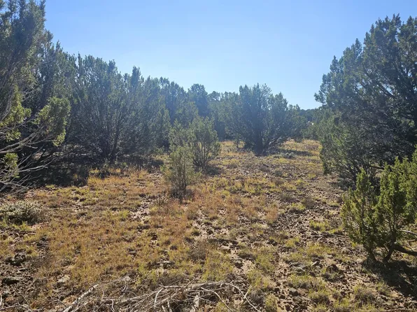 9 N3133, Vernon, AZ 85940