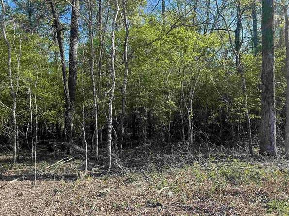 0 E Gum St Tract 2, Sheridan, AR 72150