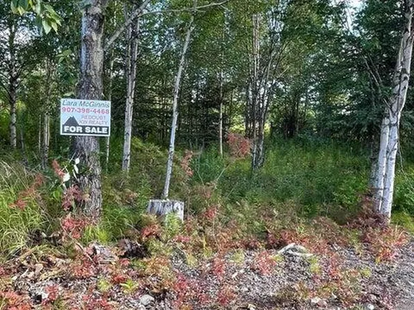 25850 Stinkbug St, Anchor Pt, AK 99556