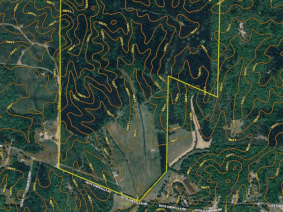 2nd image of 4791 Guys Chewalla Rd