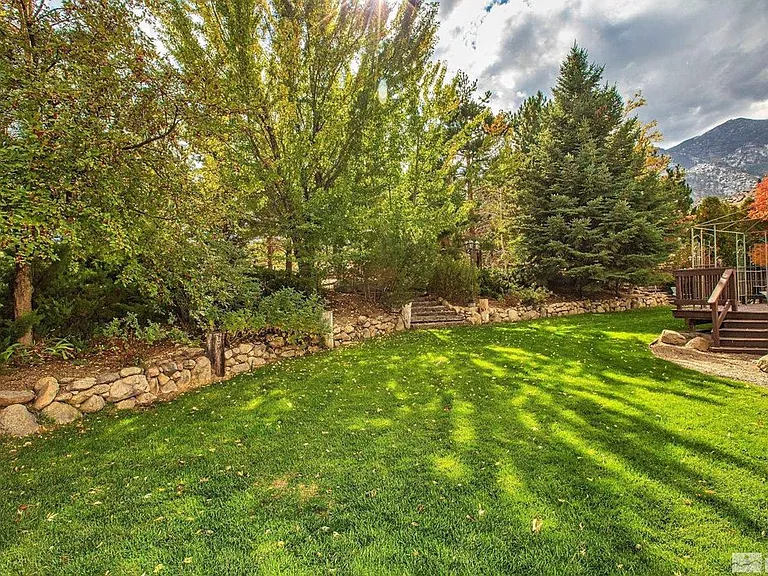 Back lawn